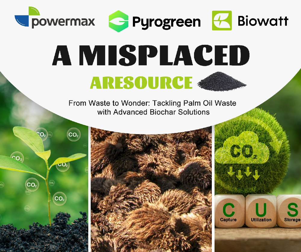 从废物到奇迹：用先进的生物炭解决方案处理棕榈油废物