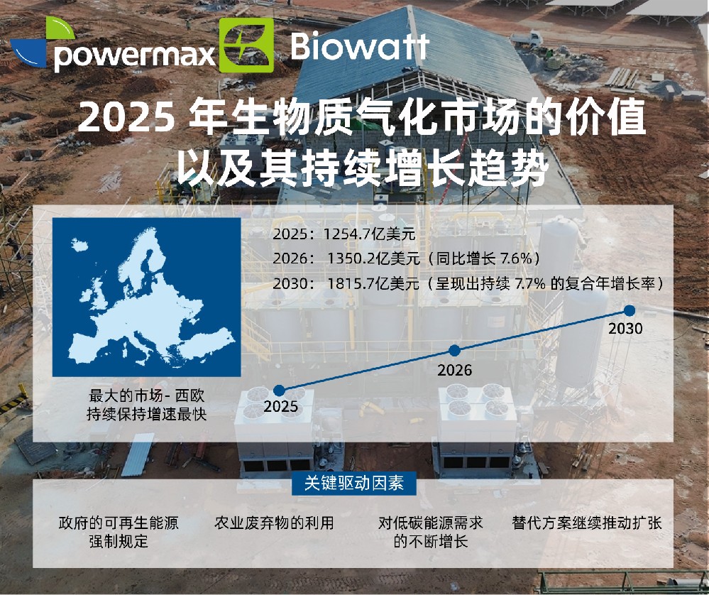 1254.7 亿美元——2025 年生物质气化市场的价值，而且这个数字还在不断攀升